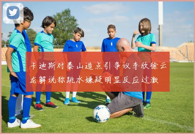 卡迪斯对泰山造点引争议李欣徐云龙解说称跳水嫌疑明显反应过激